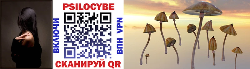 Псилоцибиновые грибы прущие грибы  Купить где  Мурманск 